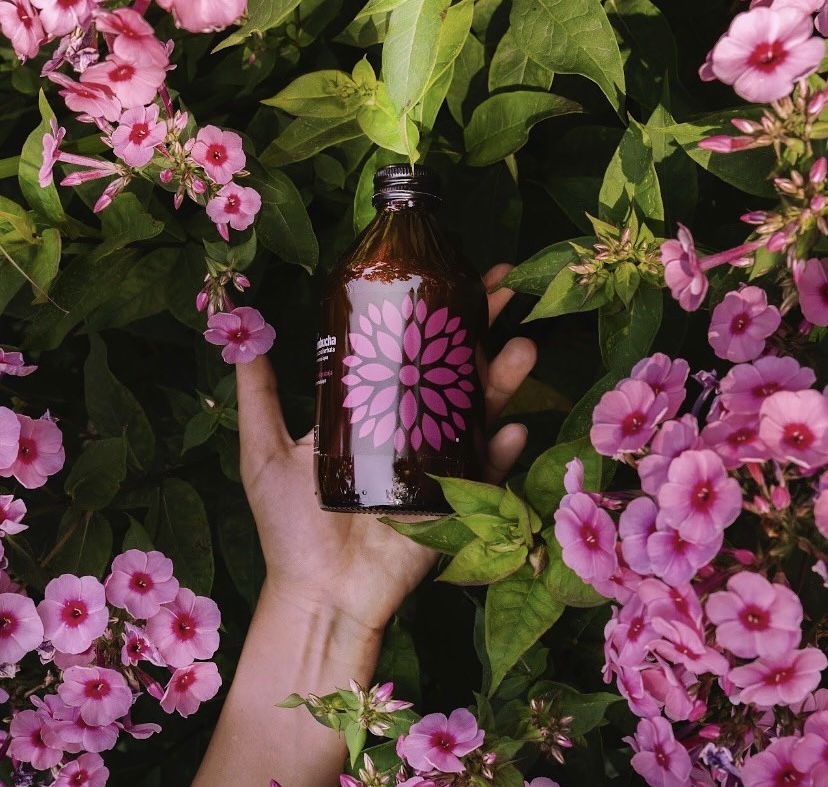 Now O'Clock kombucha bottle held among flowers