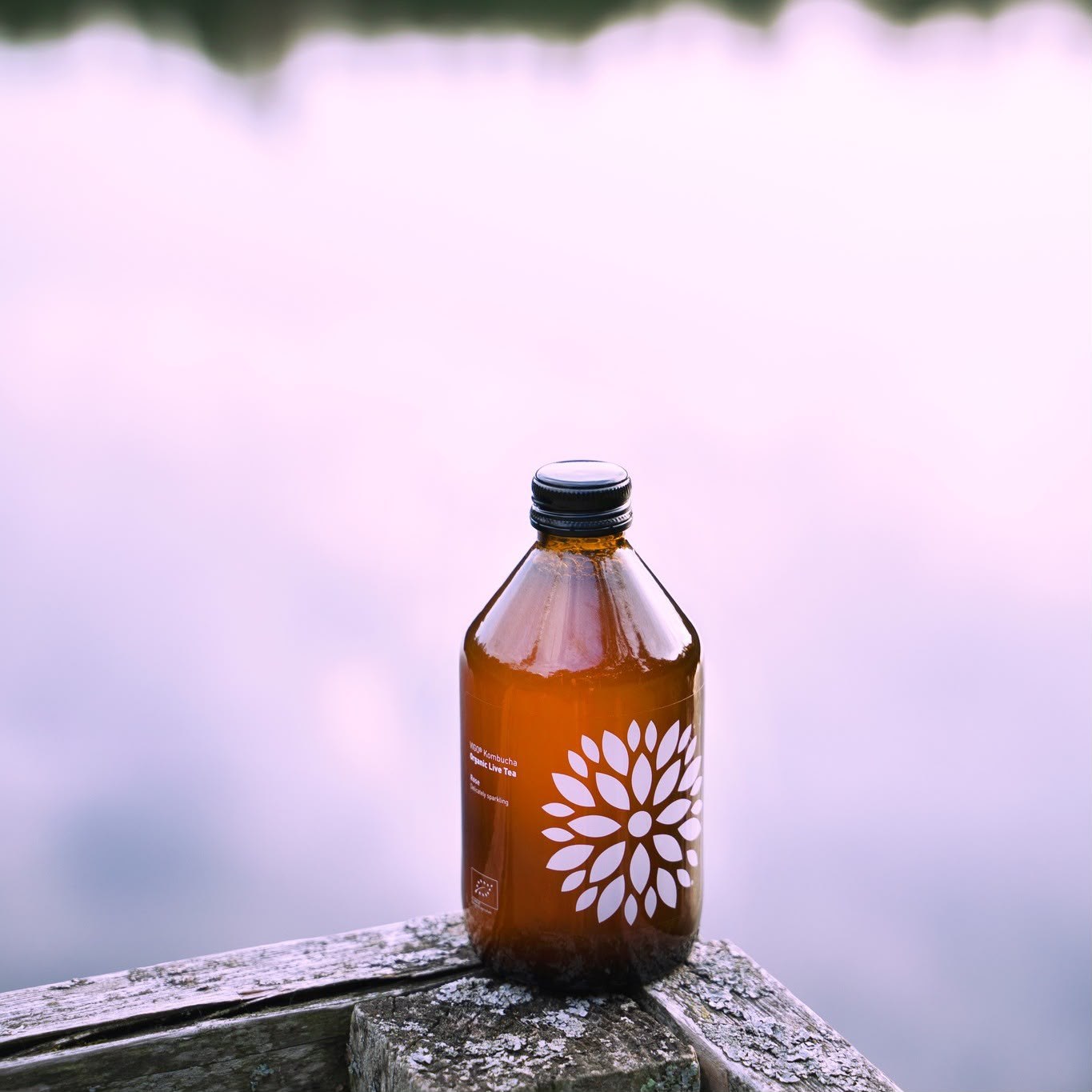 Now O'Clock kombucha