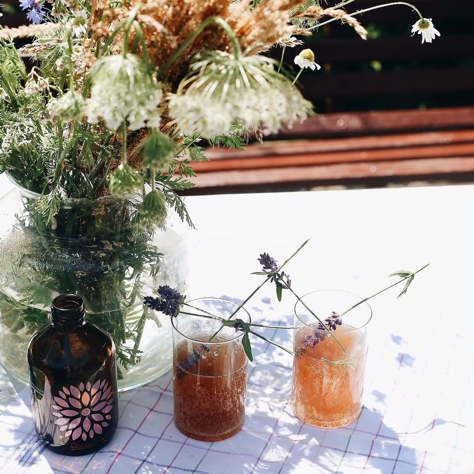 Now O'Clock kombucha